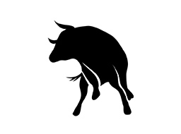 farma bikova bunford