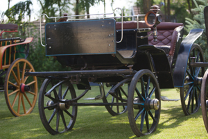 Bečki fijaker - Bunford Ergela