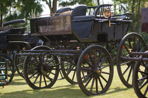 Kavalir - Ergela Bunford