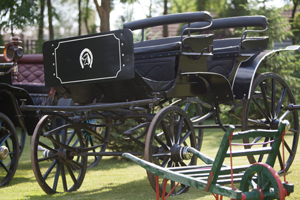 Karuce - Ergela Bunford