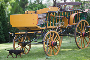 Haptike - Ergela Bunford