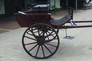 Čeze - Ergela Bunford